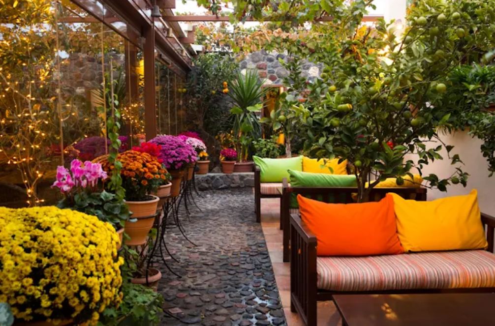 Pelican Kipos餐厅图片