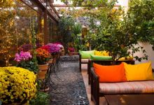 Pelican Kipos美食图片