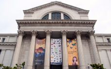 史密森博物馆-华盛顿-q****ky