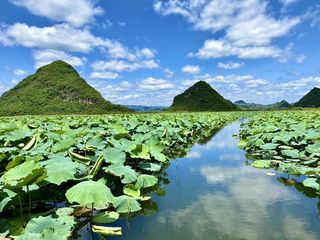 2020年最新最全普者黑游玩景点打卡,入住问荷民宿,亲子,朋友、家庭出行好去处