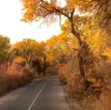 塔里木沙漠公路-且末-gz当地向导伊妹儿