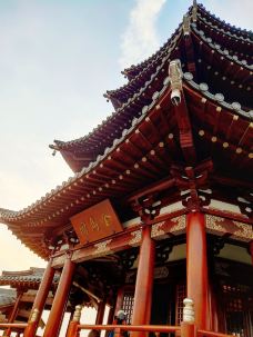 金乌温泉公园-南京-*蚂蚁8