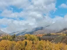 白桦林-布尔津-wbclawyer