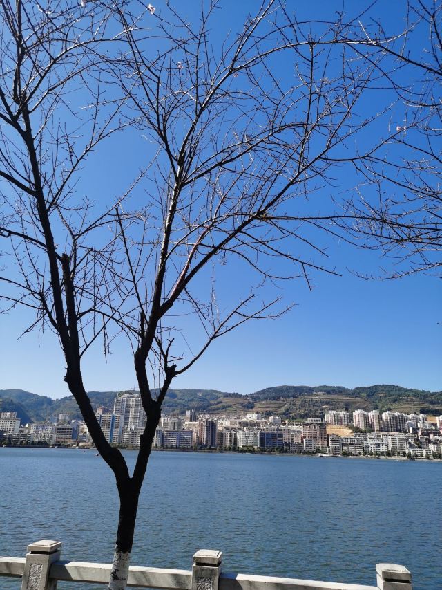 个旧市金湖公园旅行图片 1