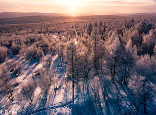 把2020年的最后一场旅行，送给期待已久的梦阿尔山