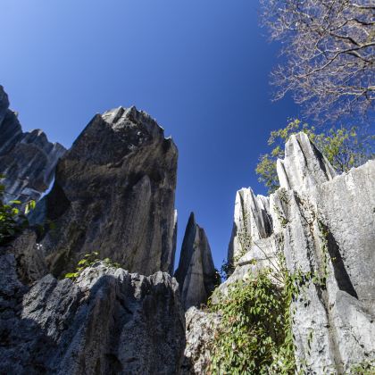 贺州2日1晚私家团