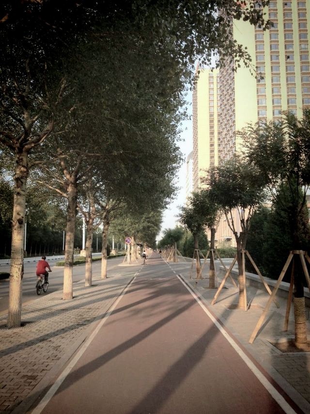 劳动公园旅行图片 5