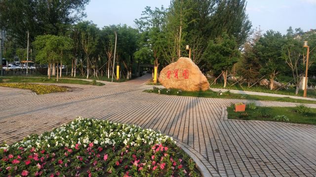 皂角园旅行图片 2