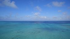 浪花礁-西沙群岛-diverding