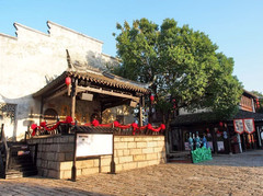 常熟游记图片] 秋天的沙家浜，有太多值得你来的理由，大闸蟹算一个