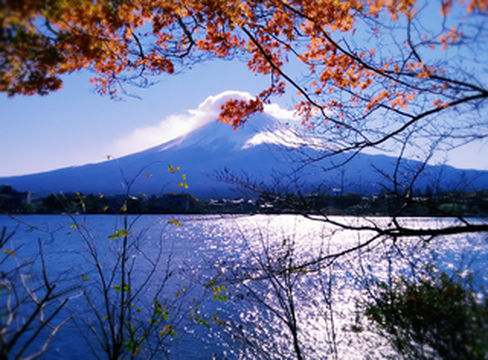 翩翩红叶狩——2015年11月9天8晚日本大阪京都东京自由行