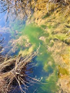 温泊景区-五大连池-玫萱