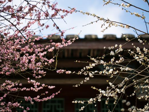 林阳禅寺