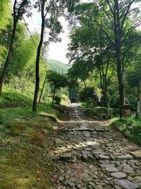 保安乡游记图片] 江山仙霞关游览感受