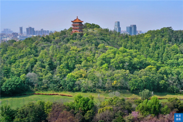 广州麓湖有座五层楼宇,堪比武汉黄鹤楼,360度欣赏广州绝佳全景