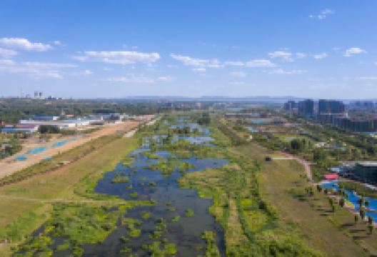 河南伊川伊河国家湿地公园景点图片