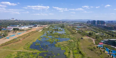 河南伊川伊河國家濕地公園