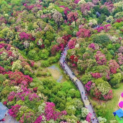 贵州贵阳+兴义+黄果树景区+织金洞+乌蒙大草原6日5晚拼小团