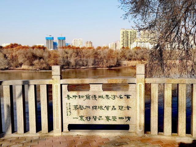 百合公园旅行图片 1