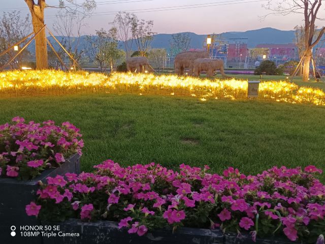 太原康培稻田公园旅行图片 10