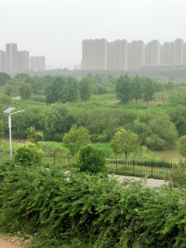 灞渭生态滩区旅行图片 13