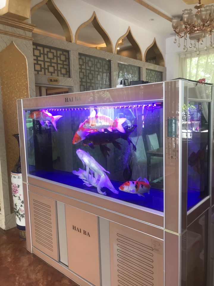 伊兰轩饭店(凤翔路店)