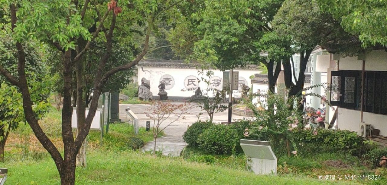 Ancient Tea Garden of Family Zhang