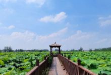 三汊河国家湿地公园景点图片