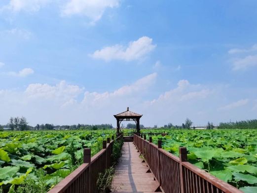 三汊河国家湿地公园