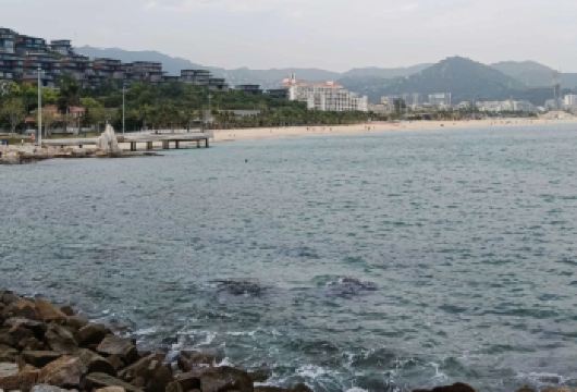 深圳一日游/4位起拍【 力推线路】【[商家力推]万人销量、千人好评、专业的服务、商家力推优质路线。】