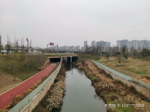 新世纪公园