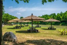 滨湖国家森林公园-合肥