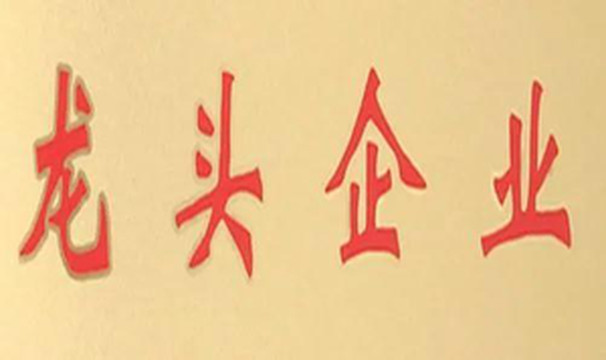 祁门游记图文-小罐茶大产业 晋级农业产业化省级重点“龙头”