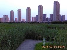 群力国家城市湿地公园-哈尔滨-孙玉森