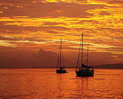 瓦努阿图游记图片] “南太平洋巴铁”的魅力：穿越大半个地球去看维拉港的日落和桑托岛的沉船