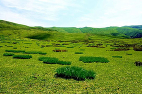 天祝游记图片] 毛藏大峡谷：水涌峡长天一线
