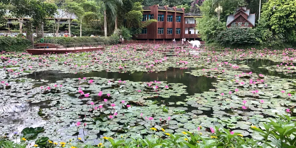 永安旅遊