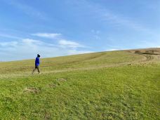 和平公园-长崎-Lavender and Sun