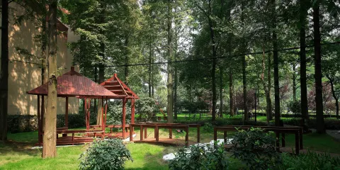 童子沖森林探險樂園