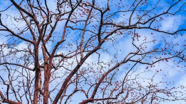 冠山风景旅游区