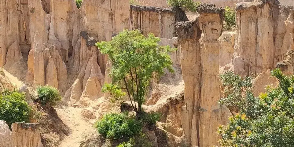 永安旅遊