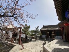 恒山-浑源-流苏琳达