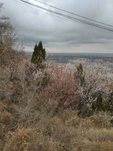 乌兰山公园-靖远-YoYo_8P8O6Q1U