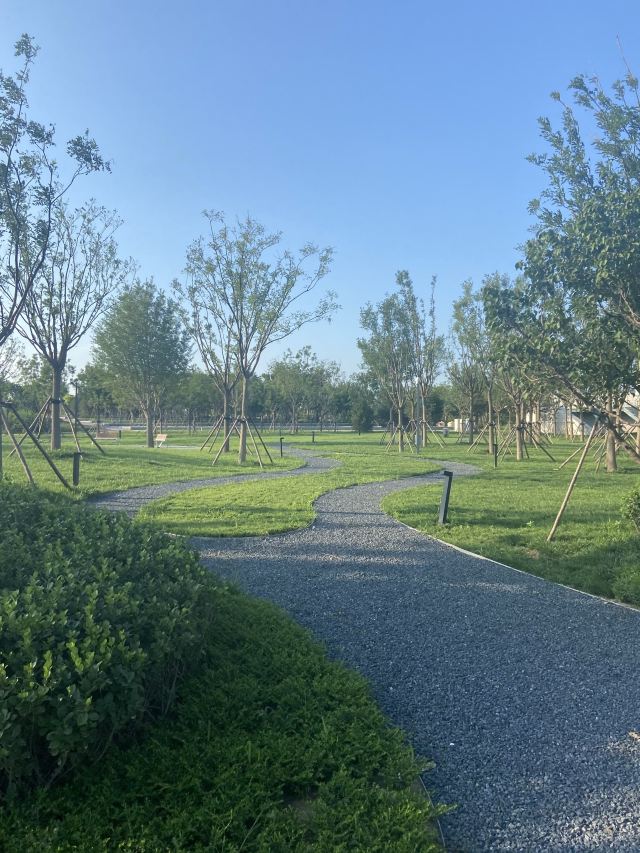 光年城中央公园旅行图片 3