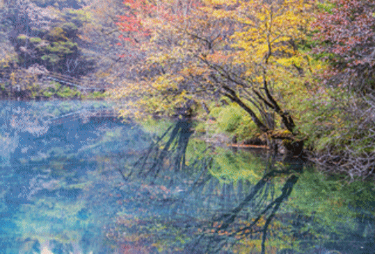 神奇九寨更迷人！