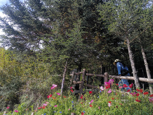 四姑娘山镇游记图文-来川西不得不住的悬崖酒店