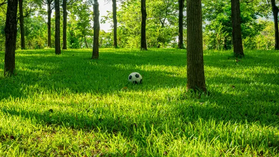 太行山森林公園