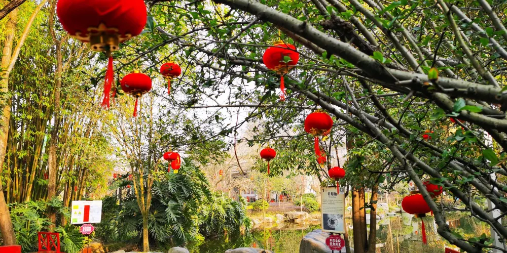 永安旅遊