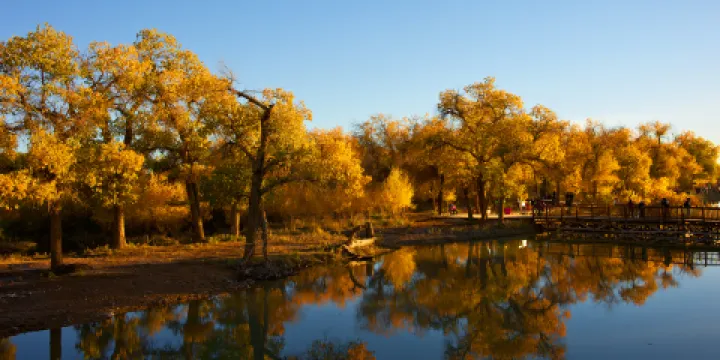 額濟納胡楊英雄影視城