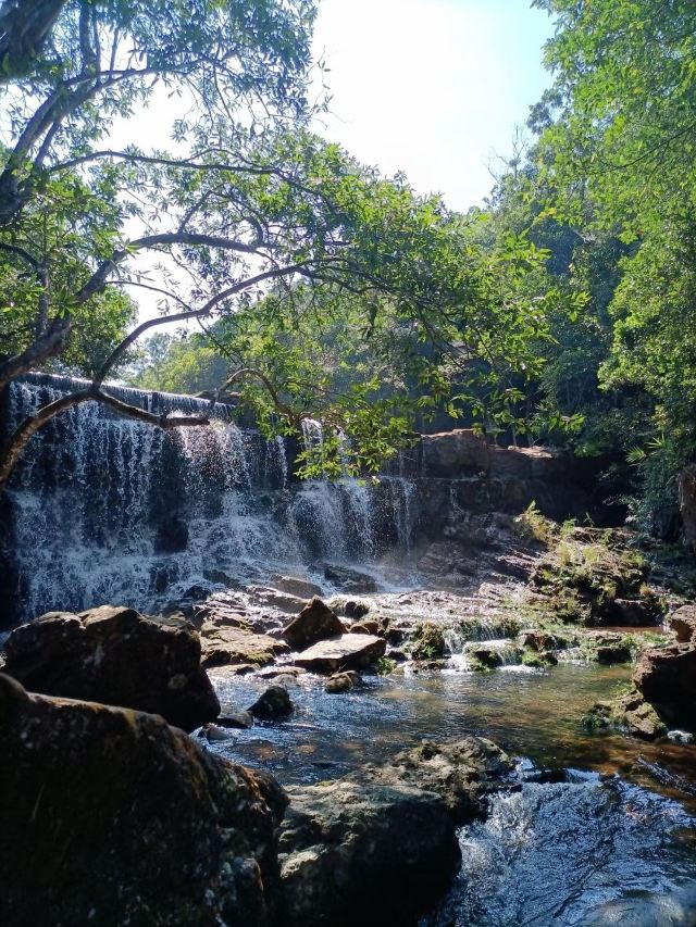 那雾山森林公园旅行图片 4